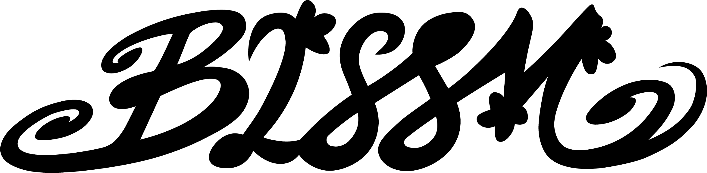 BLSSM Studios